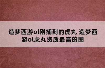 造梦西游ol刚捕到的虎丸 造梦西游ol虎丸资质最高的图